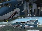 DHC-6
                  , Twin Otter , Requin package